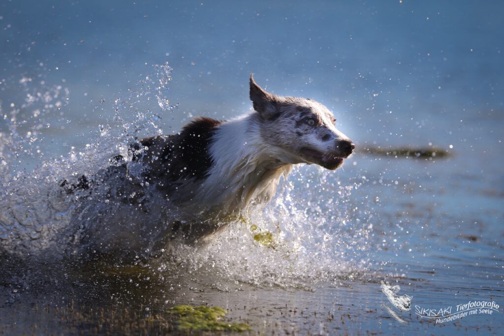 Wasservergiftung - Spaß am Wasser kann gefährlich werden